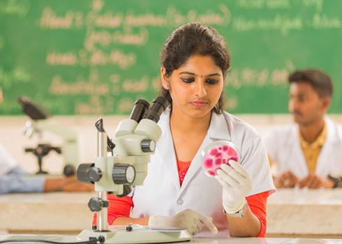 B.Sc. Biotechnology